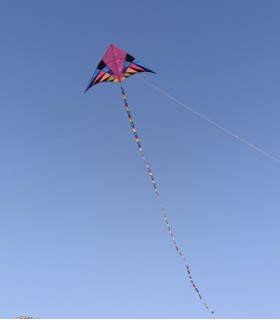 1.8m Pink Rider Delta Kite