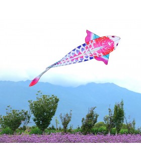 Carp fish pink kite