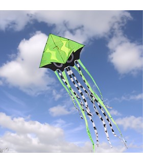 Angry Squid Kite - Green