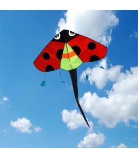 Ladybird Easy Flyer Kite