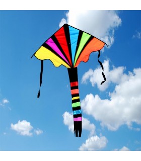 Spectrum Easy Flyer Kite