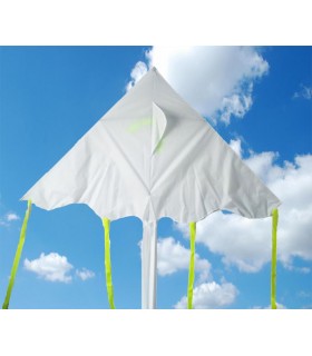 Draw-it-yourself Large DIY 1.8m Easy Flyer Delta Kite