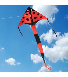 Red Ladybird Delta Kite