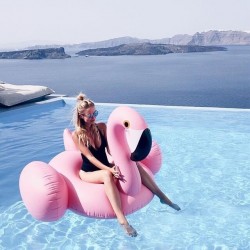 1.5m Pink Flamingo Float