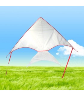 DIY Draw-it-yourself Fish Kite