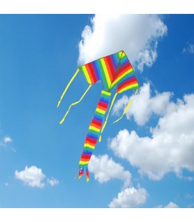 Rainbow Easy Flyer Kite