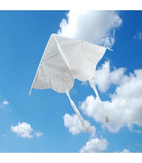 DIY Draw-it-yourself Butterfly Kite